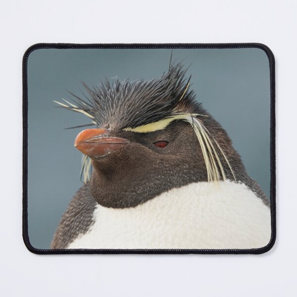 Item preview, Southern Rockhopper Penguin designed and sold by Glenn Welch.