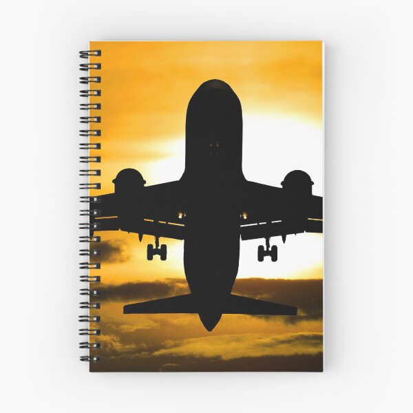 Item preview, AVIATION #33 - Airliner Silhouette at Golden Take-off designed and sold by DEL-Productions.