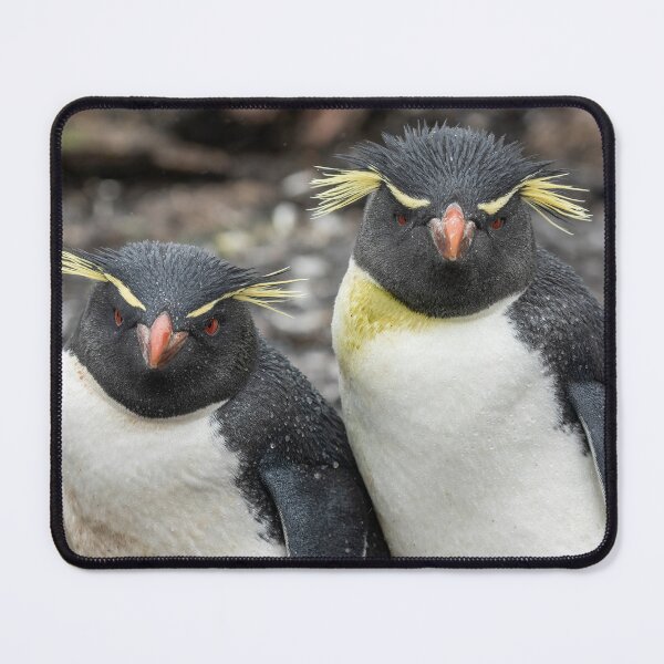Item preview, Southern Rockhopper Penguins designed and sold by Glenn Welch.