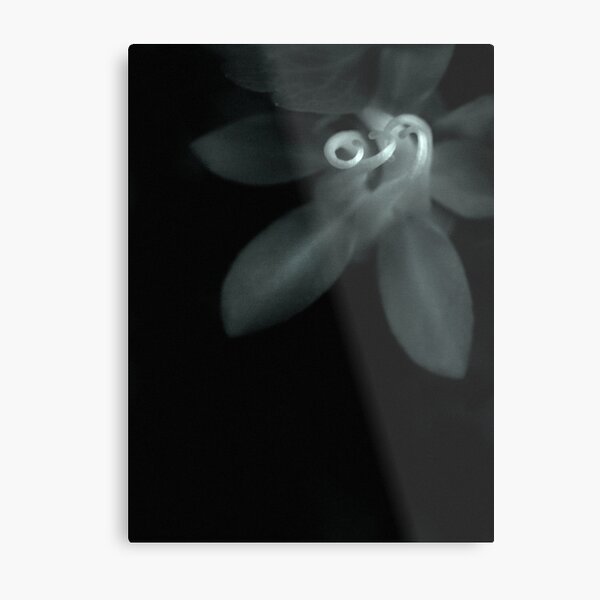 Out of the Silent Planet Metal Print