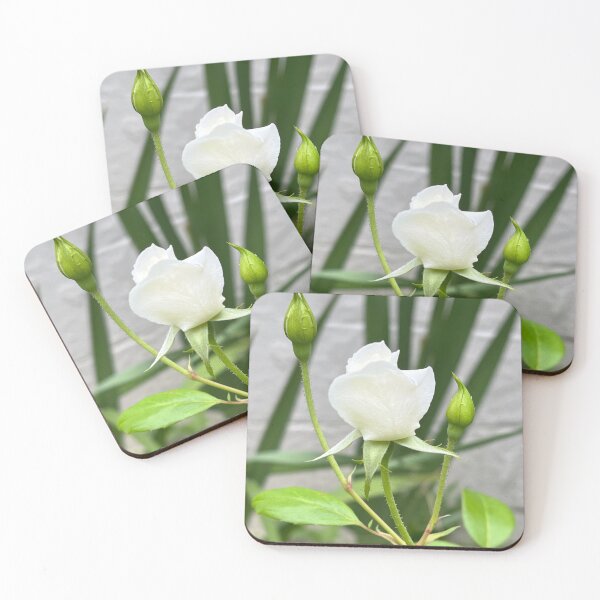 Item preview, White Rose with Fly designed and sold by TherapeuticNest.