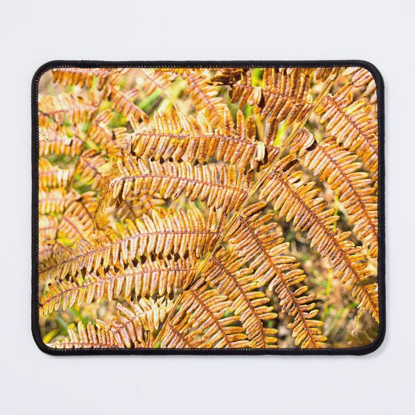 Item preview, fern pattern designed and sold by Marco Varrone.