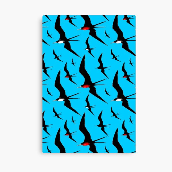 Frigate Birds Majestic Flight Canvas Print