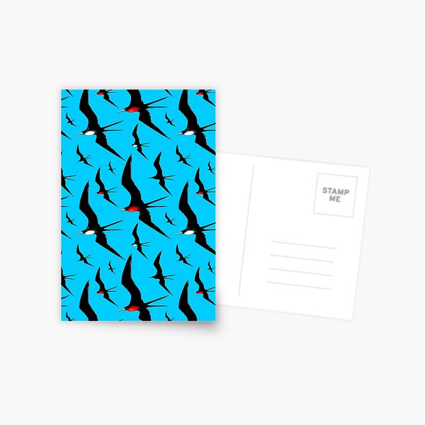 Frigate Birds Majestic Flight Postcard