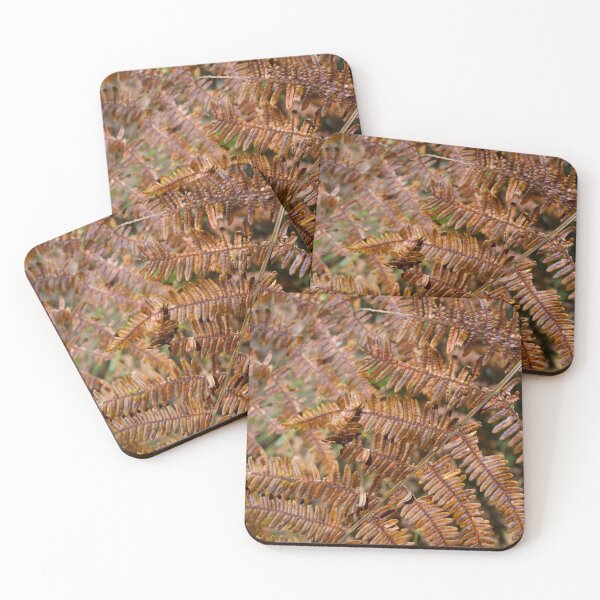 Item preview, Fern autumnal concept designed and sold by Marco Varrone.