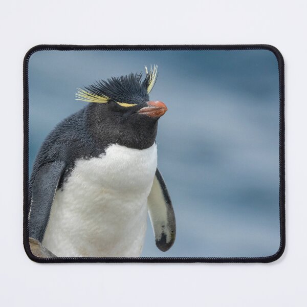 Item preview, Southern Rockhopper Penguin designed and sold by Glenn Welch.