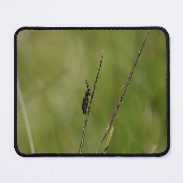 Item preview, Bug designed and sold by frogs123.