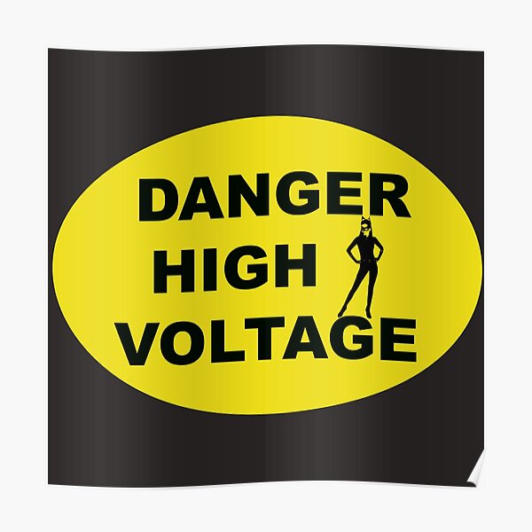 Danger High Voltage Cat Lady Industrial Style Sign Poster For Sale By Lobodelnoir Redbubble 1338