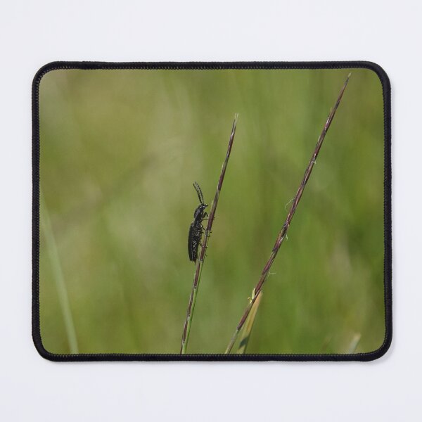 Item preview, Bug in the grass designed and sold by frogs123.