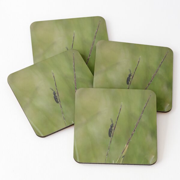 Item preview, Bug in the grass designed and sold by frogs123.