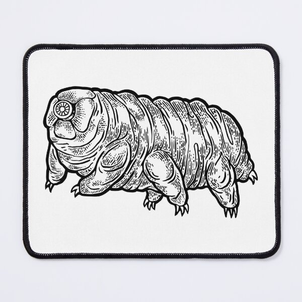 Item preview, Tardigrade water bear sketch engraving vector designed and sold by IronicEmpire.