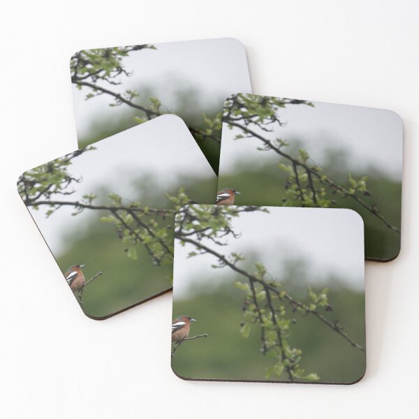 Item preview, Chaffinch designed and sold by frogs123.