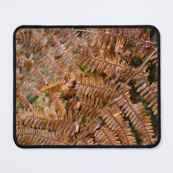Item preview, Fern autumnal concept designed and sold by Marco Varrone.