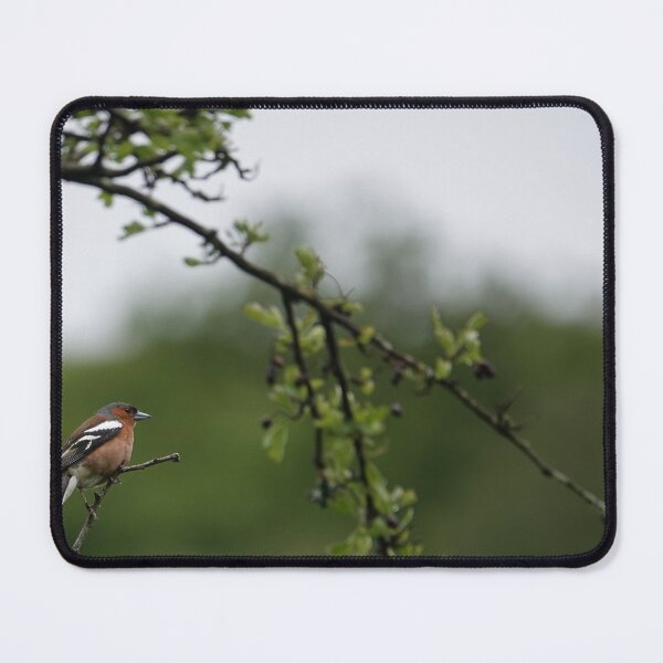 Item preview, Chaffinch designed and sold by frogs123.
