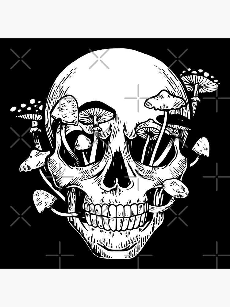 Human skull with mushrooms in woodcut style. Vector engraving