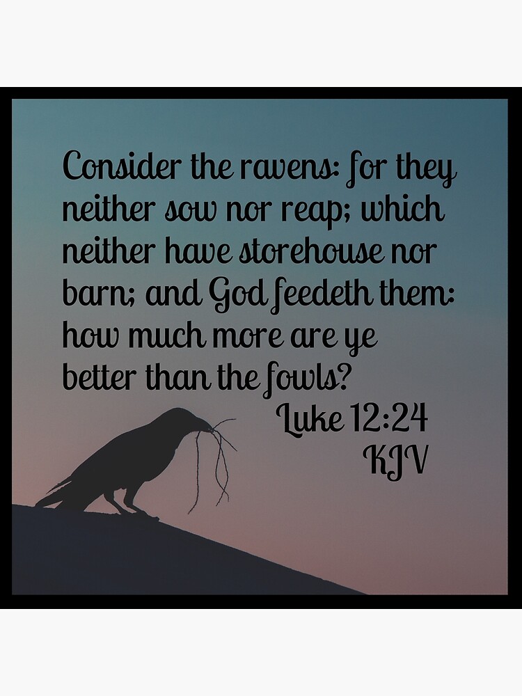 King James Bible (www.thekingsbible.com) - Luke 12:24 Consider the ravens:  for they neither sow nor reap; which neither have storehouse nor barn; and  God feedeth them: how much more are ye better