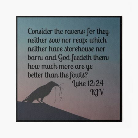 Luke 12:24 Consider The Ravens T-Shirt