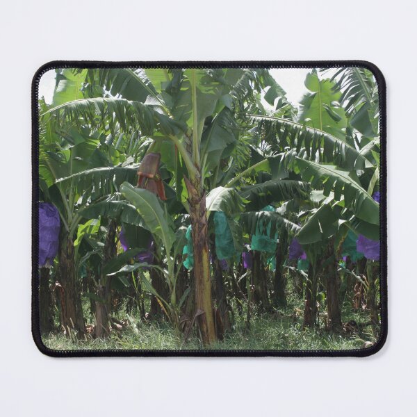Item preview, Banana Farm designed and sold by STHogan.