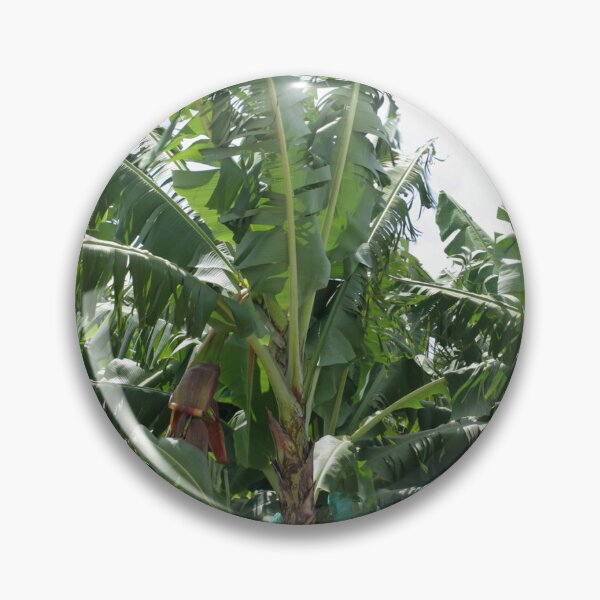 Item preview, Banana Farm designed and sold by STHogan.