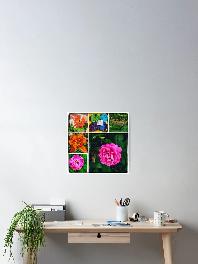 Thumbnail 2 von 3, Poster, Rot Rosa designt und verkauft von bobewing.