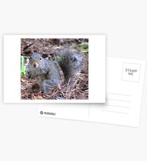 Are you looking at me? Postcards