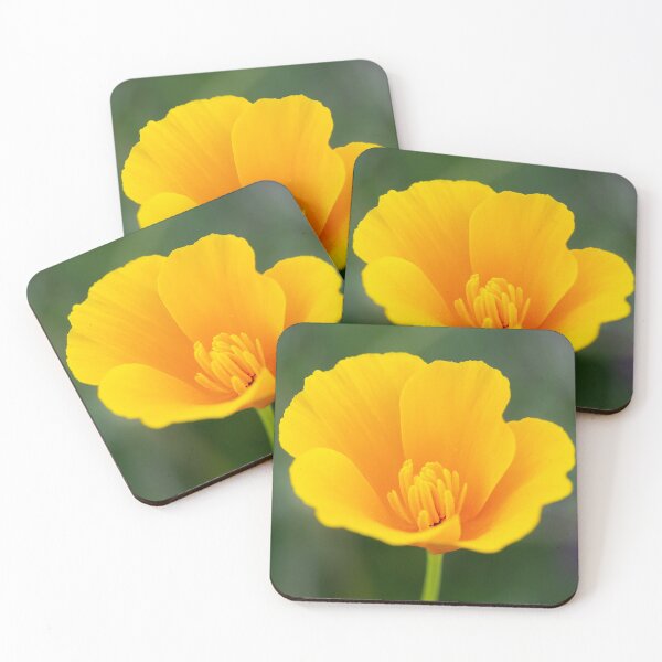Item preview, Cup Of Gold  designed and sold by Tanya C  Smith.