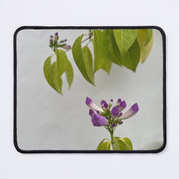Item preview, Garlic Vine Flower designed and sold by anjalimariam.