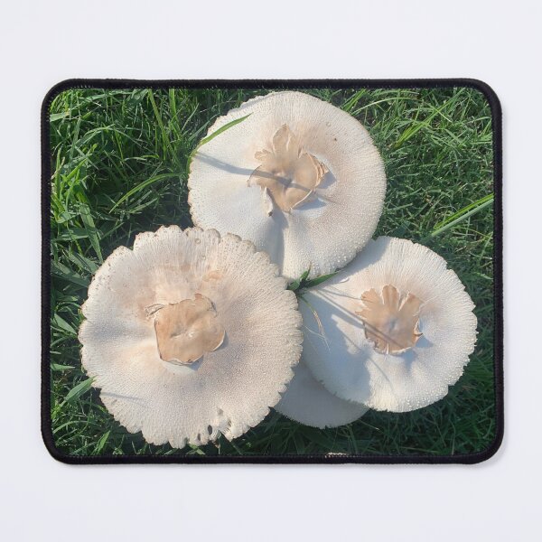 Item preview, Wild mushrooms designed and sold by baksuart.