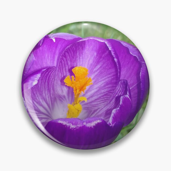 Item preview, Crocus flawer  designed and sold by Pontom46.