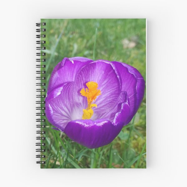 Item preview, Crocus flawer  designed and sold by Pontom46.