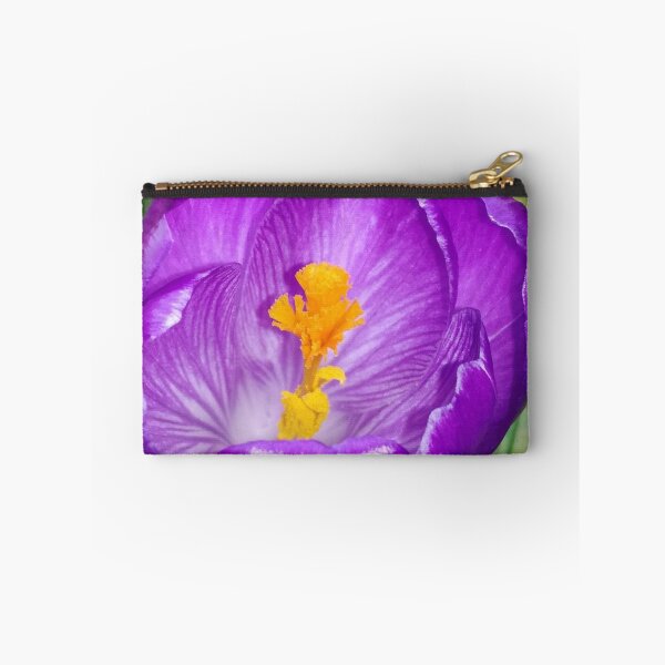 Item preview, Crocus flawer  designed and sold by Pontom46.