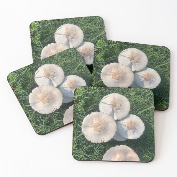 Item preview, Wild mushrooms designed and sold by baksuart.