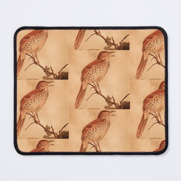Item preview, Brown Thrasher Calling For Mate designed and sold by laguitan10.