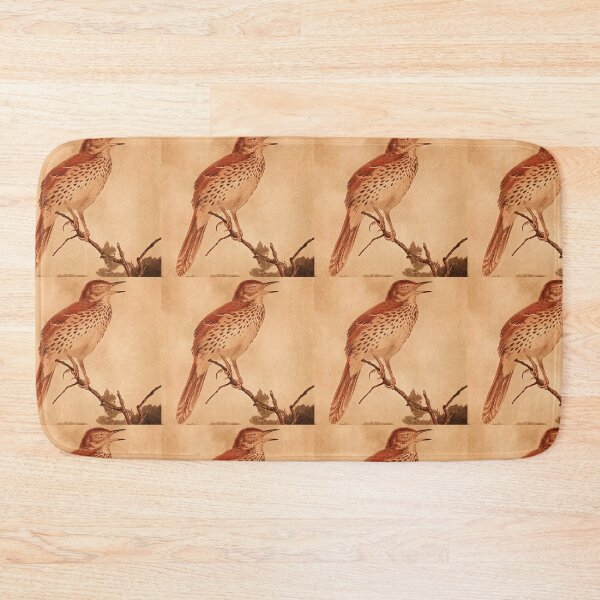 Item preview, Brown Thrasher Calling For Mate designed and sold by laguitan10.
