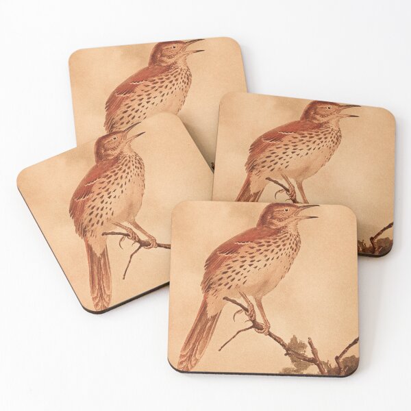 Item preview, Brown Thrasher Calling For Mate designed and sold by laguitan10.