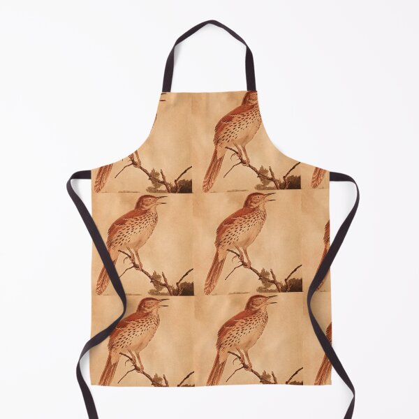 Item preview, Brown Thrasher Calling For Mate designed and sold by laguitan10.
