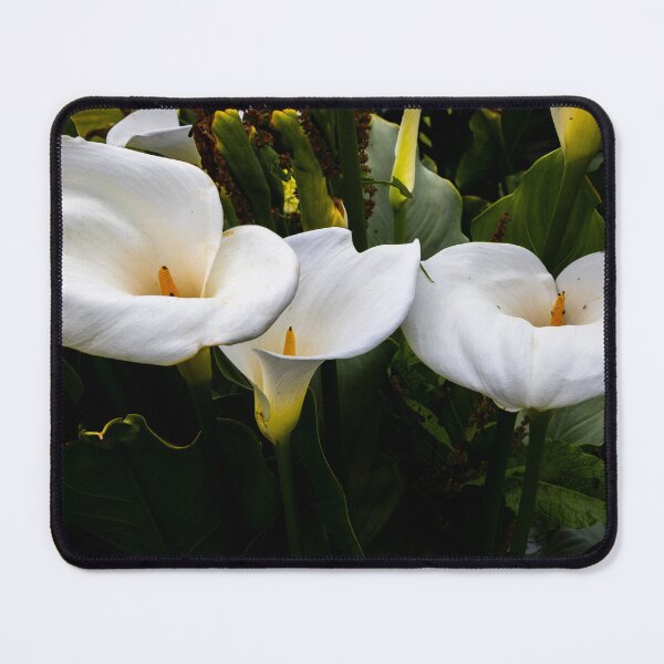 Item preview, Calla Lilly Purity designed and sold by nbrandsberg.
