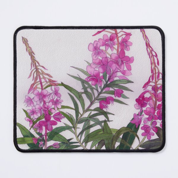 Item preview, Willowherb watercolour painting designed and sold by esvb.