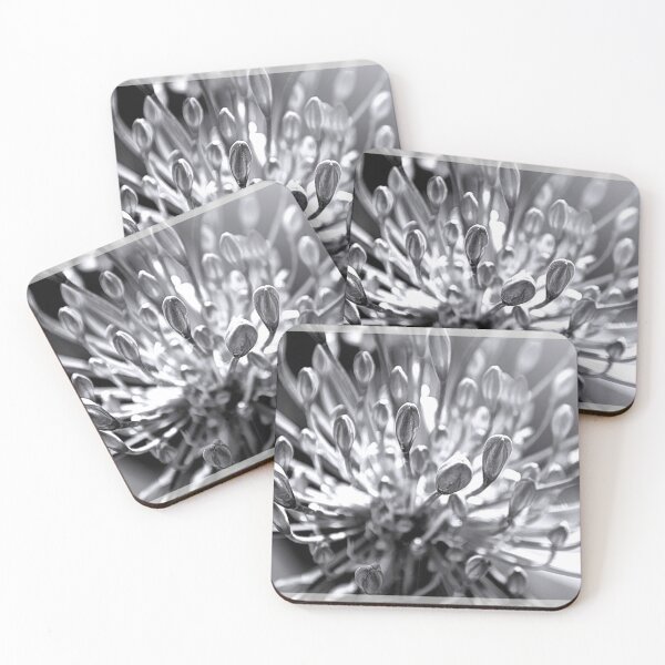 Item preview, Agapanthus in Black and White designed and sold by nbrandsberg.