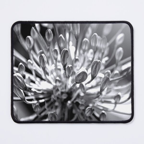 Item preview, Agapanthus in Black and White designed and sold by nbrandsberg.