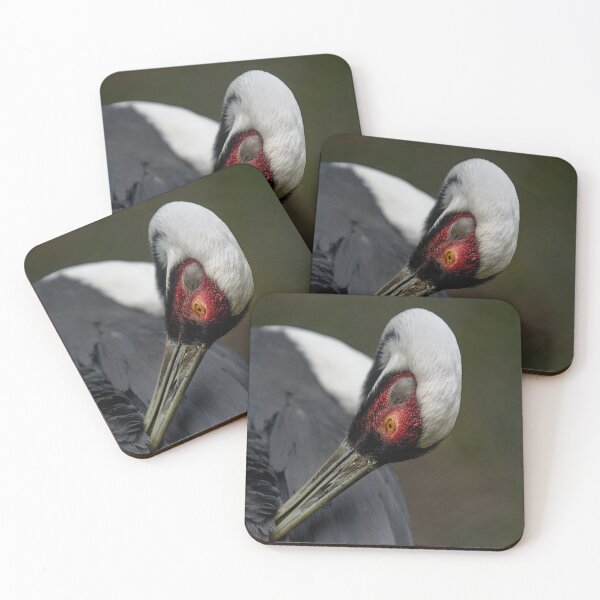 Item preview, bird cleaning designed and sold by thompsong03.