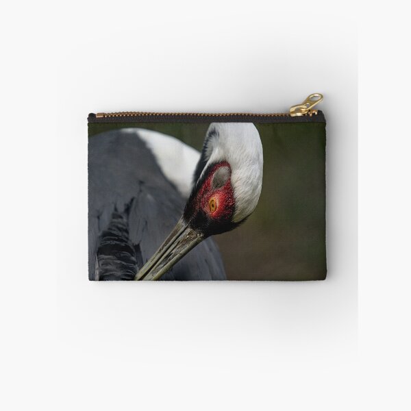 Item preview, bird cleaning designed and sold by thompsong03.