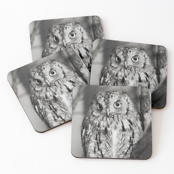 Item preview, Little Owl designed and sold by Dominika Aniola.