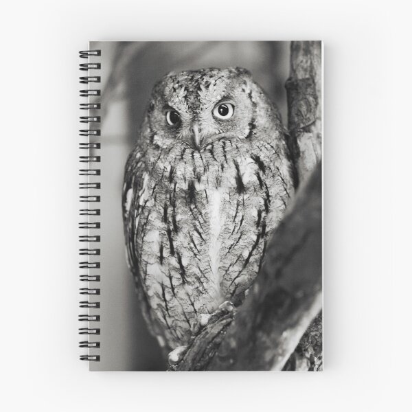 Item preview, Little Owl designed and sold by Dominika Aniola.