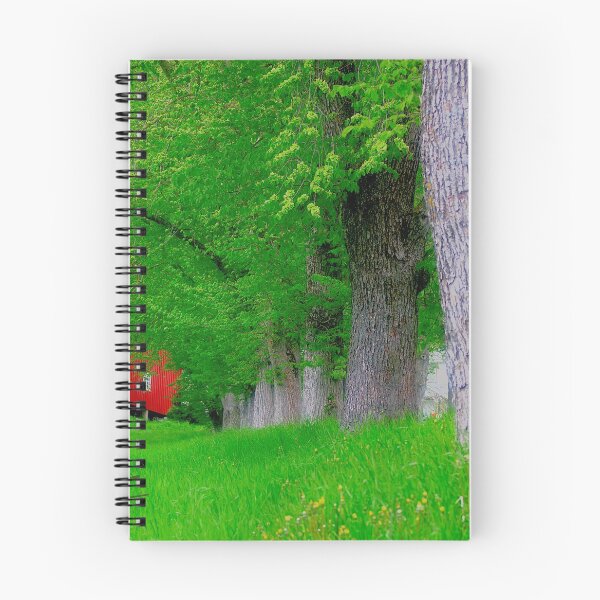 Item preview, Cose della vita . Bellissima primavera . Trondelag . Norway. Dr.Andrzej Goszcz. designed and sold by © Andrzej Goszcz,M.D. Ph.D.