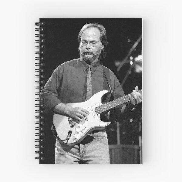 Aperçu de l'œuvre Walter Becker - Photographie NB créée et vendue par ConcertImages.