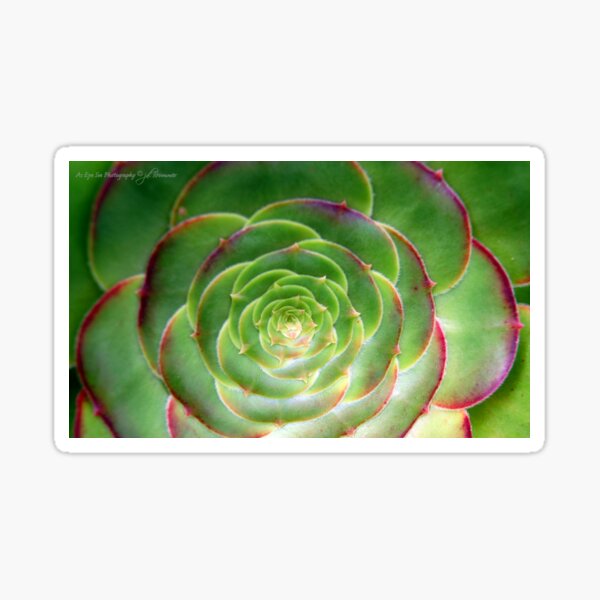 Unfurled Sticker