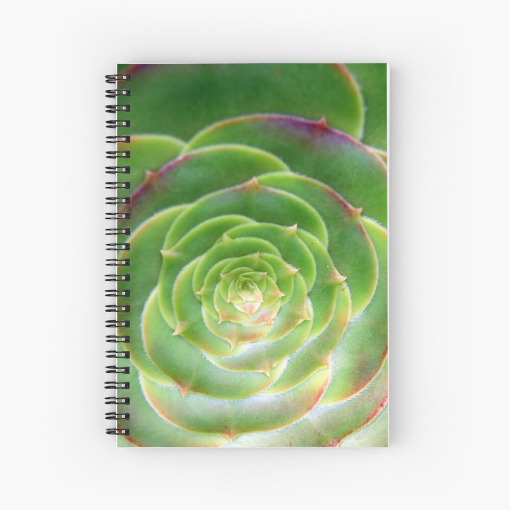 Unfurled Spiral Notebook