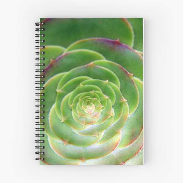 Item preview, Unfurled designed and sold by AsEyeSee.