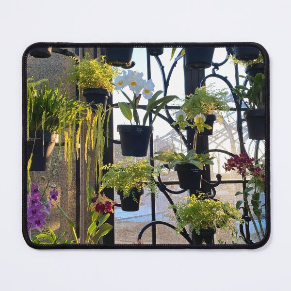 Item preview, Orchids in Longwood Gardens Conservatory designed and sold by palmerm4.